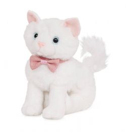 CHATON OG - ANGORA TURC 15 CM